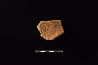 藏品(連杯形器)的圖片